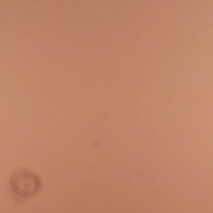 Meet your Posher, Shafi